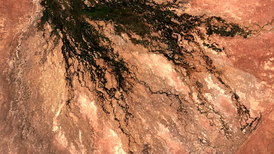 The same fan in September 2024, after the seasonal flood has spread through the channels.
