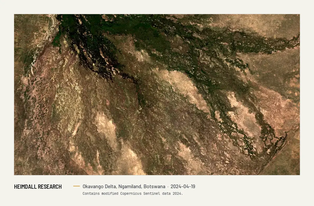 Print preview: Satellite image from April 2024 of the Okavango Delta: dark green channels fanning out from the top left across pale dry grassland.